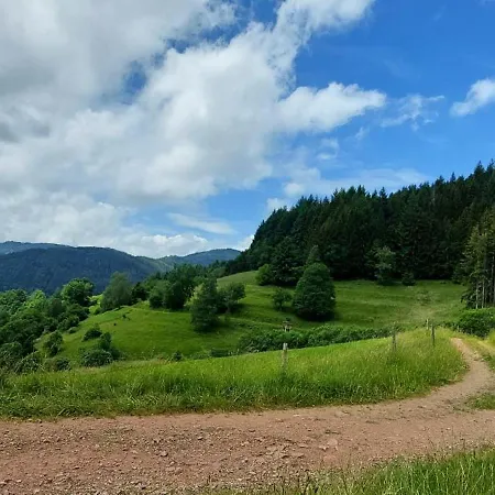 Am Rosengaertle - Black Forest - Foret Noire Kleines Wiesental