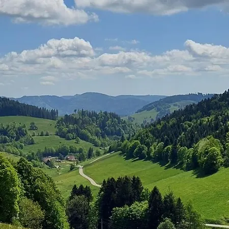 Am Rosengaertle - Black Forest - Foret Noire *