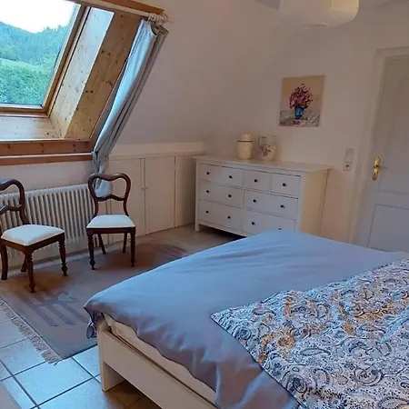 Vakantiehuis Am Rosengaertle - Black Forest - Foret Noire *