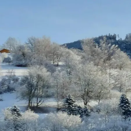 Am Rosengaertle - Black Forest - Foret Noire Vakantiehuis *