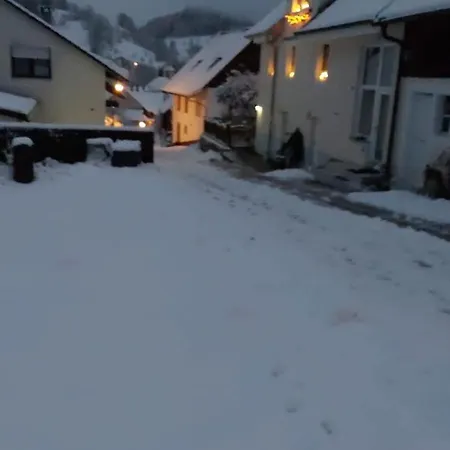 Vakantiehuis Am Rosengaertle - Black Forest - Foret Noire