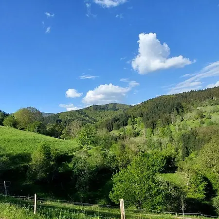 Am Rosengaertle - Black Forest - Foret Noire Kleines Wiesental
