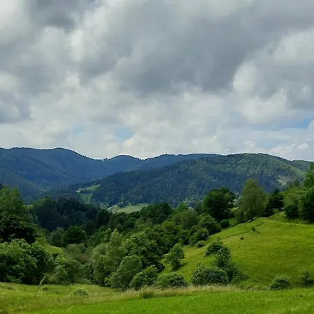 Am Rosengaertle - Black Forest - Foret Noire * Kleines Wiesental