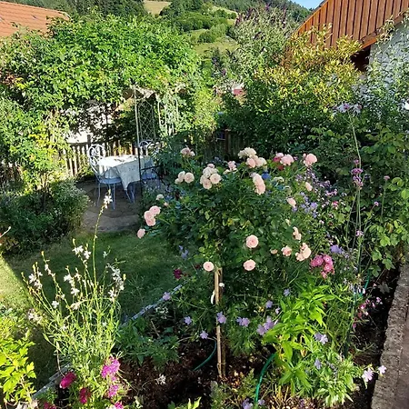 Am Rosengaertle - Black Forest - Foret Noire Vakantiehuis Kleines Wiesental