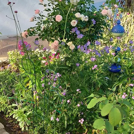 Am Rosengaertle - Black Forest - Foret Noire Vakantiehuis *